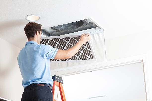 Best HVAC air duct cleaning  in Lincoln, AL